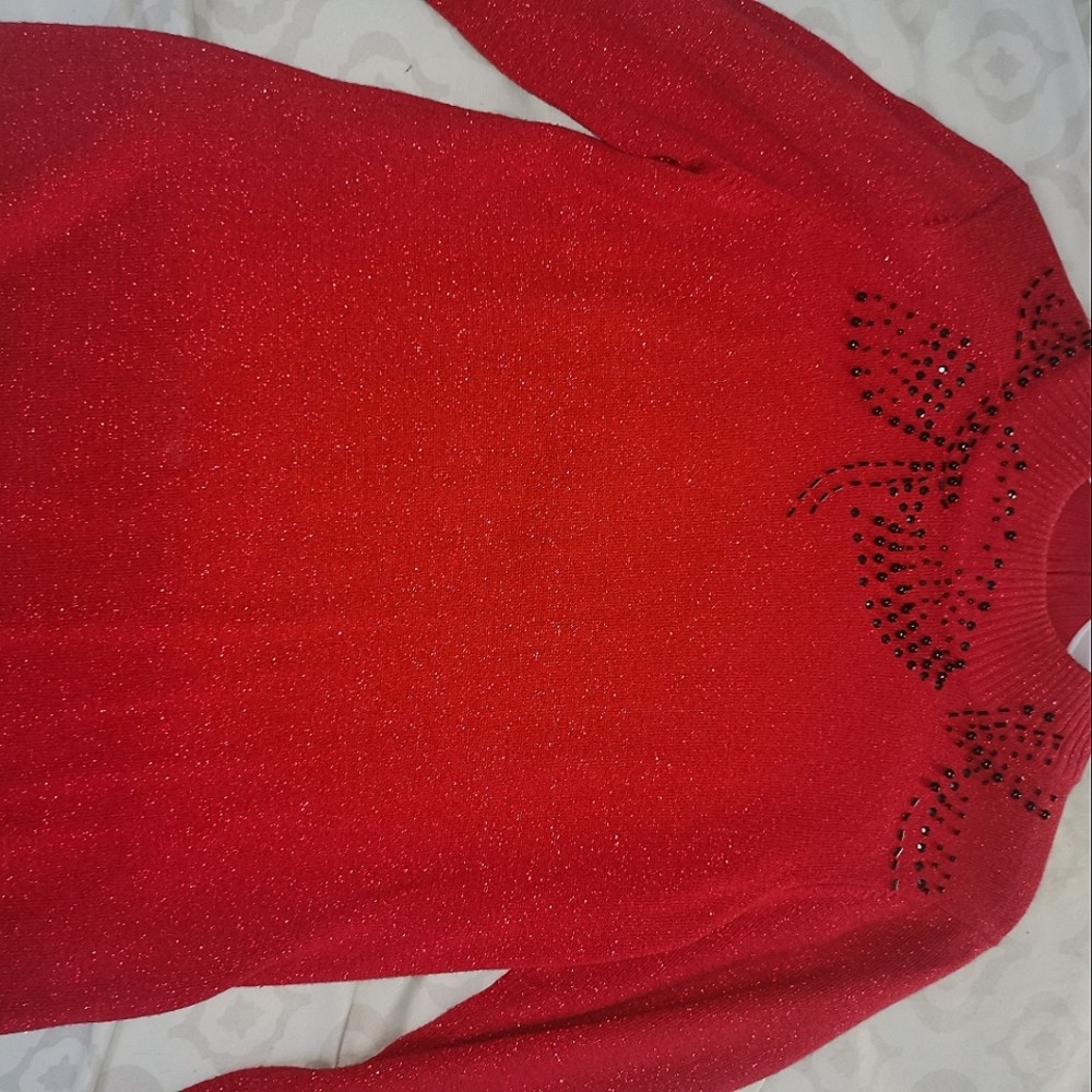 Red Turtleneck sweater